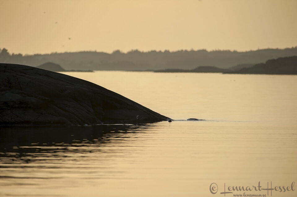 A view from the 1st bay at Stora Amundön