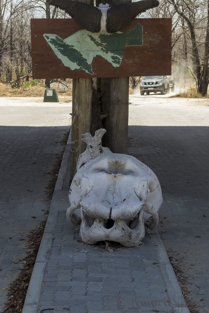 Entering the Moremi Game Reserve, Botswana