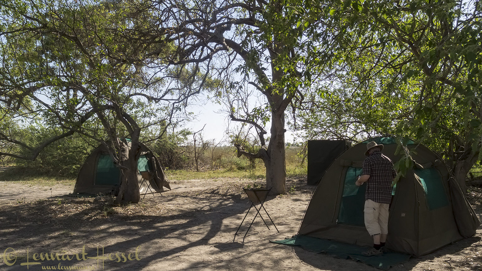 Xaxanaka Camp in Moremi Game Reserve, Botswana