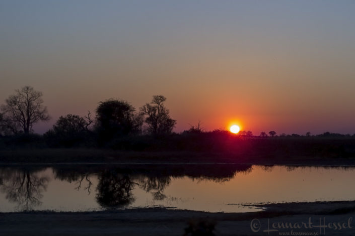 Sunrise in Moremi Game Reserve, Botswana