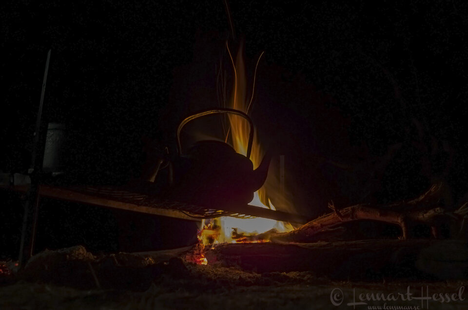 The kettle in Moremi Game Reserve, Botswana
