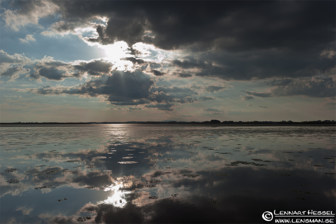 Lake Tisza in Hungary, hdr interpretation