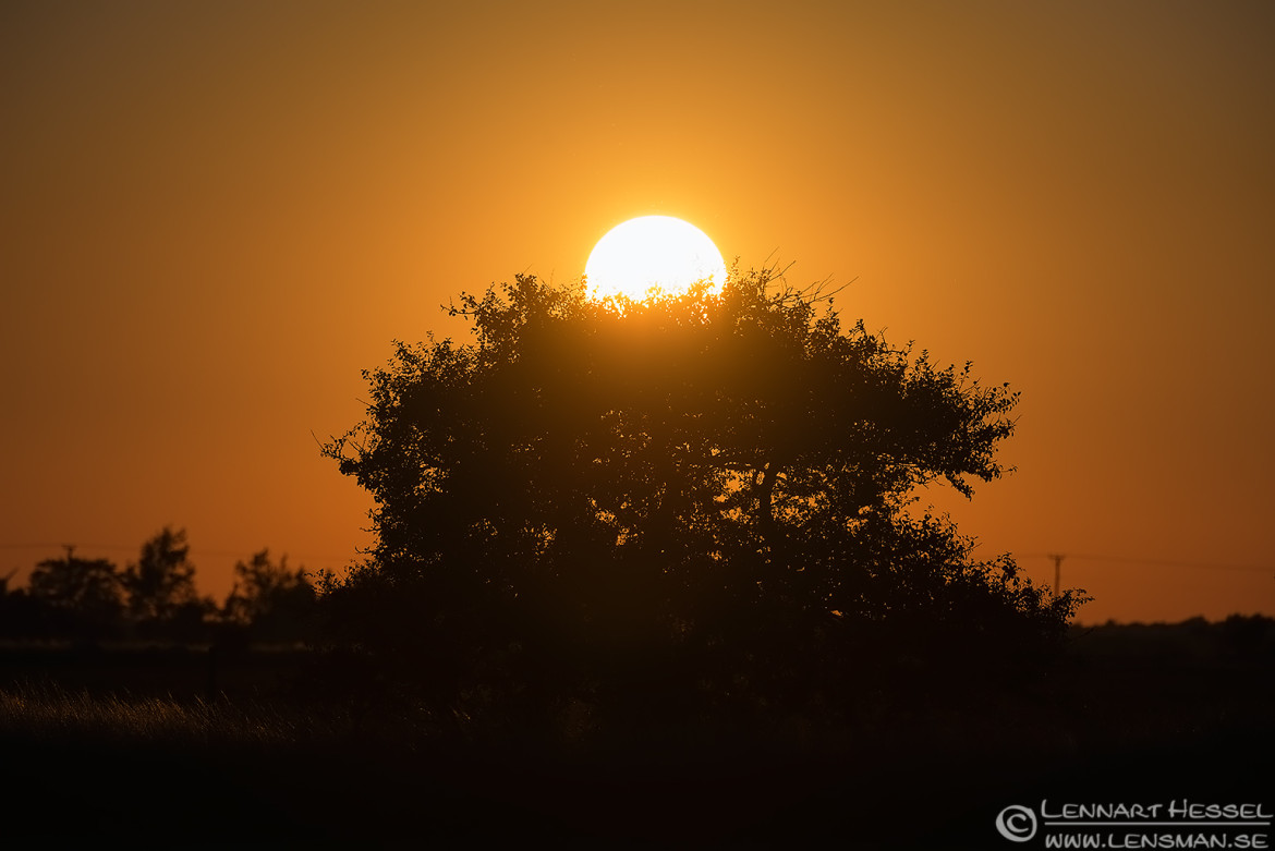 Sunset over Öland, metro photo