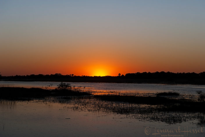 Sunset over the Thamalakane River in Botswana