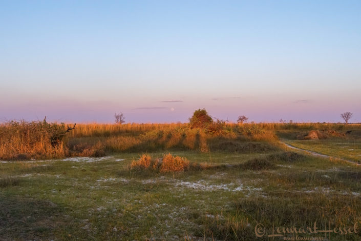 Sunset over the Savannah, Moremi Game Reserve