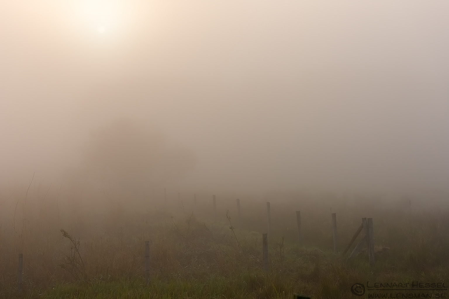 130928 Fenches Fenches fog