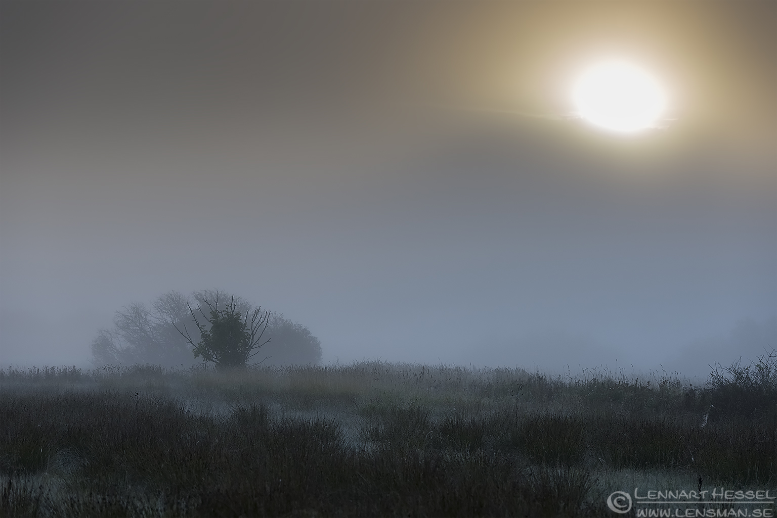 130928 Göta Älv Göta Älv fog