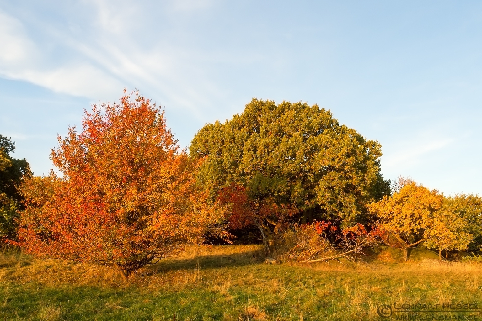 Autumn