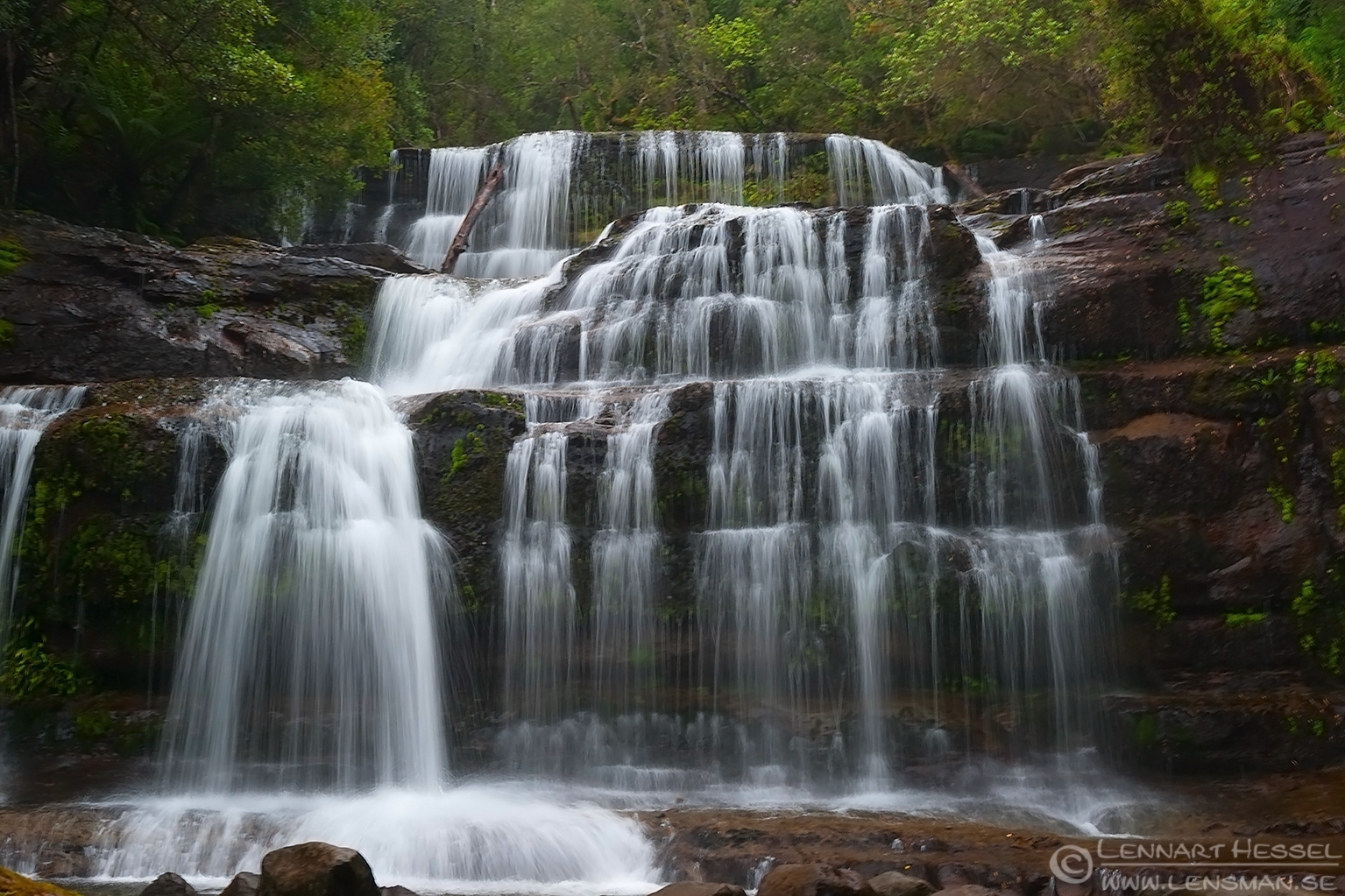 131226 Liffey Falls Liffey Falls