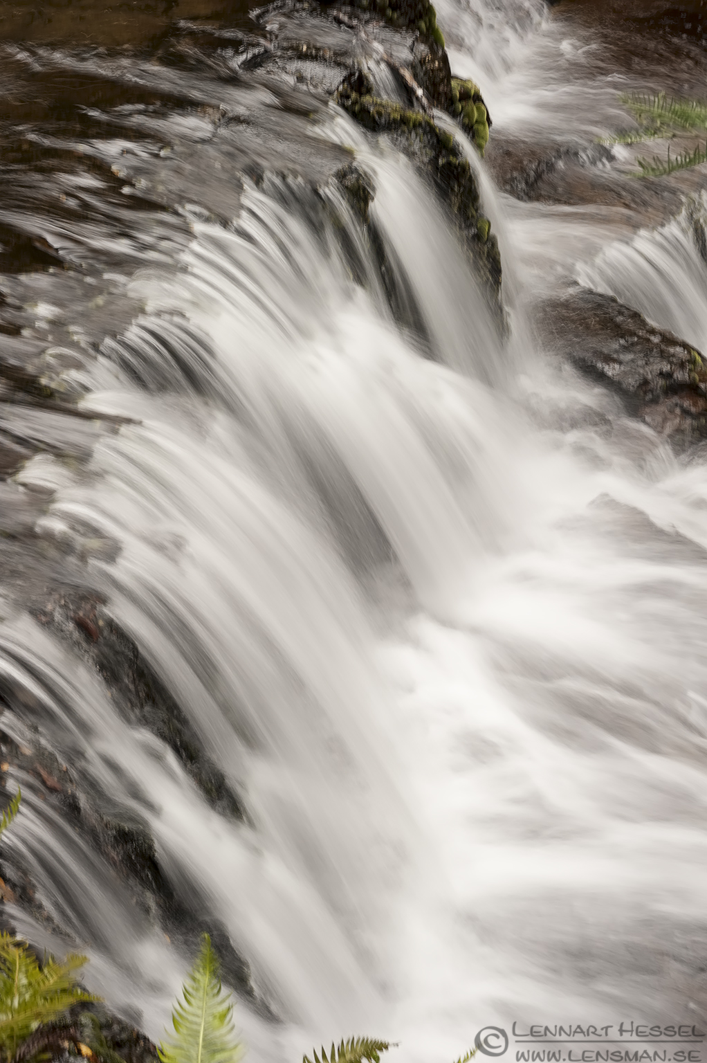 131226 upper part of Liffey Falls Liffey Falls