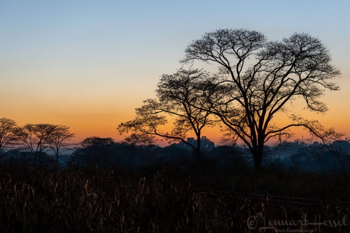 140714 Sunrise Chinhoyi Sunrise Chinhoyi Mana Pools National Park, Zimbabwe