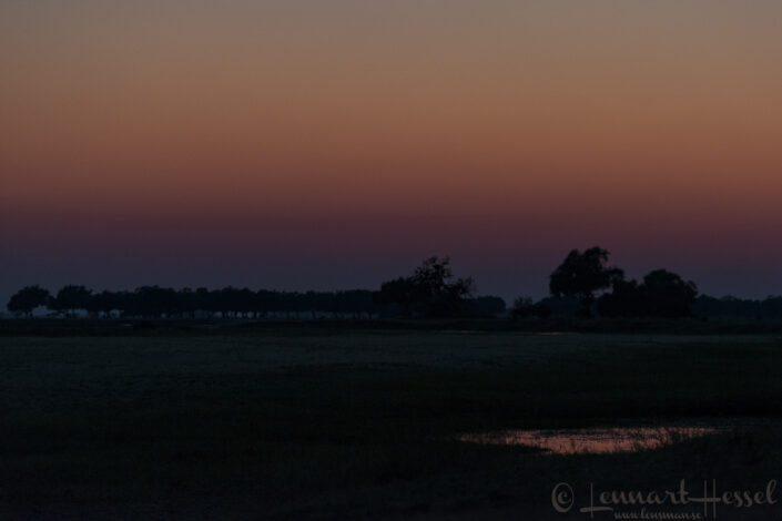 140715 Sunrise Sunrige giants Mana Pools National Park, Zimbabwe