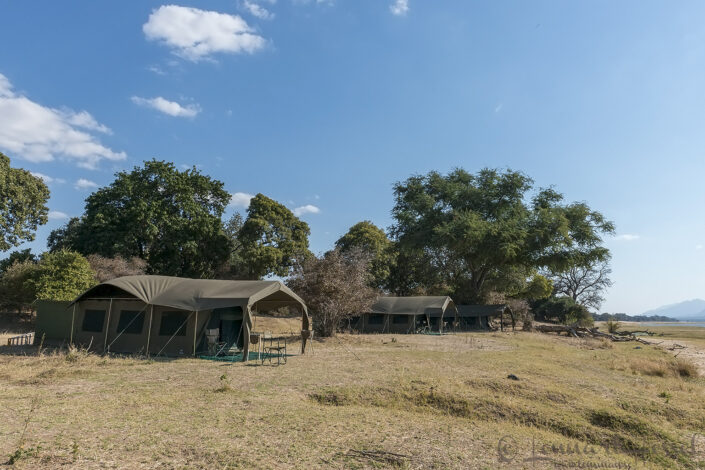 140715 The camp The camp giants Mana Pools National Park, Zimbabwe