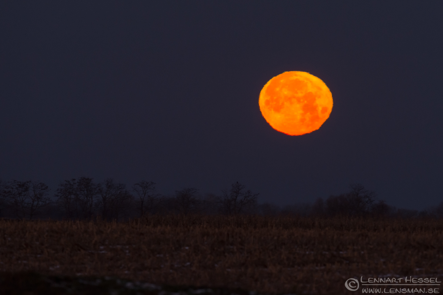 Orange moon Hungary Birds of Prey
