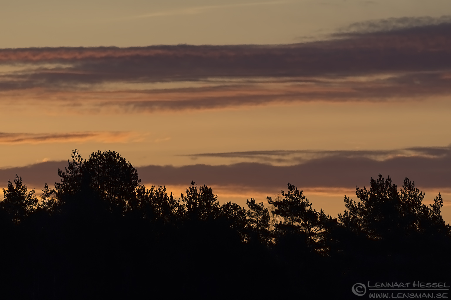 150314 Sunrise Sunrise start lek season
