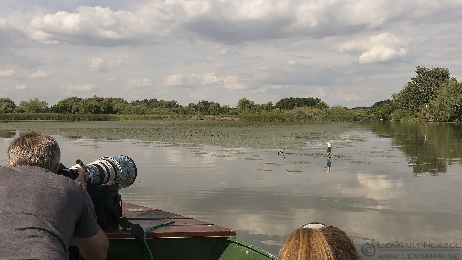 150618 Working from the boat Working from the boat bee-eater