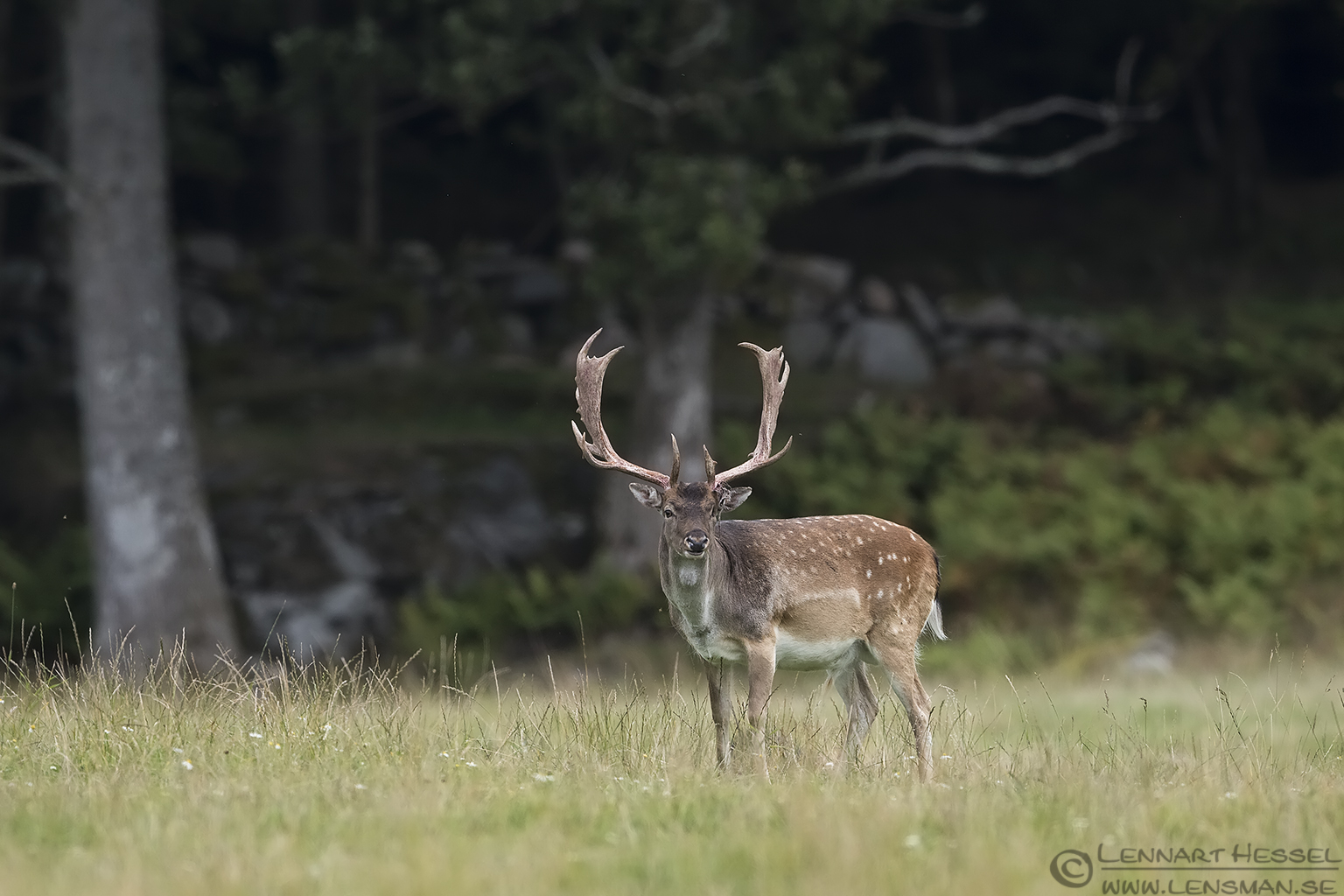 150913 Red Deer Red Deer calibrations and tests