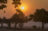 Elephant at sunset Mana Pools 2015 Mana Pools National Park