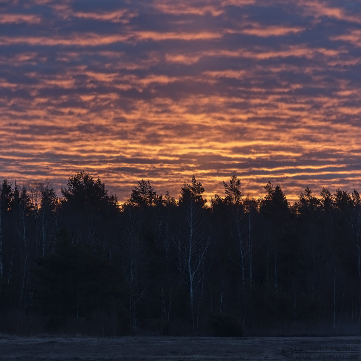 Sunrise sunny