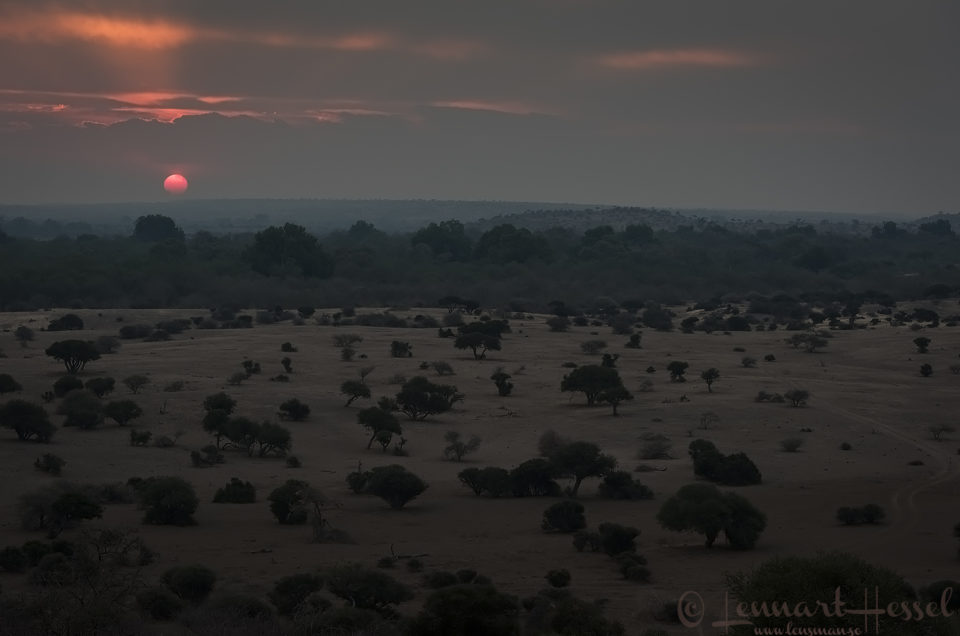 Sunset Tuli Block Mashatu Game Reserve