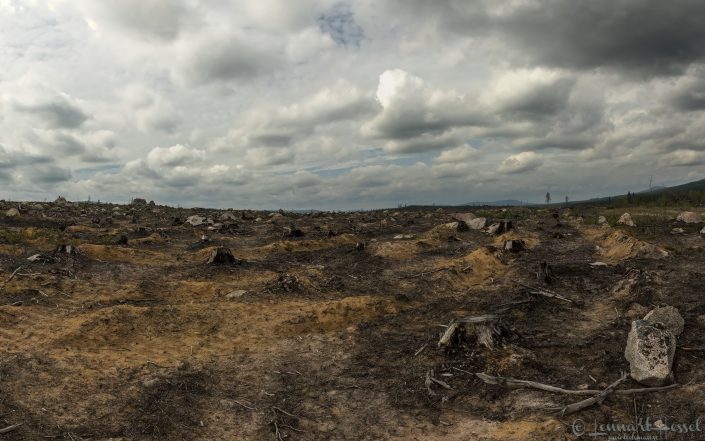 K&aring;rb&ouml;le pano Sweden