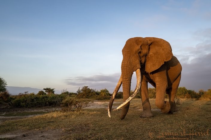 Craig walkby Amboseli